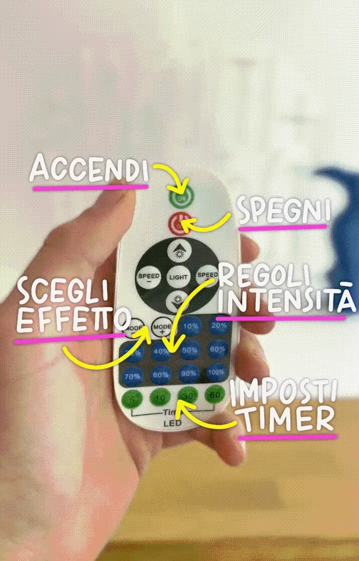 GINTONIC & COCCOLINE - Image 6
